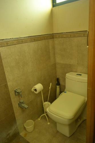 Villa Beautiful 4br Farmhouse With Pool And Jacuzzi In Jaipur