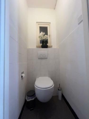 Apartamento Residentie Majestic