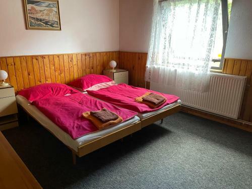 Hostal Penzion - Restaurace U Skrbl�ka