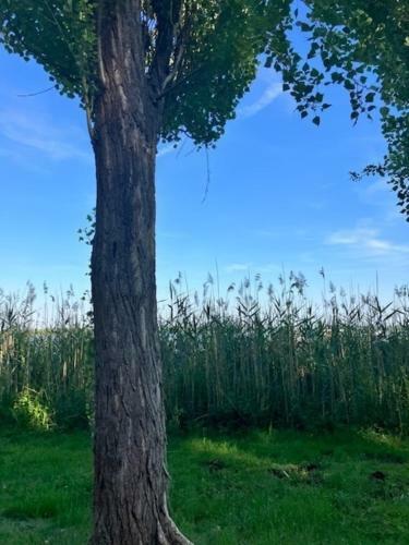 Apartamento Wildwood Us-wohnwagen