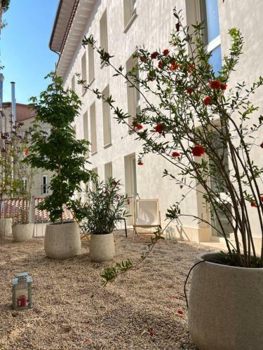 Apartamento Home Sangil