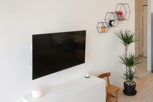 Apartment Apricus