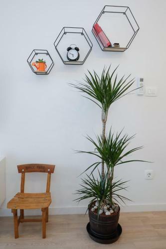 Apartment Apricus