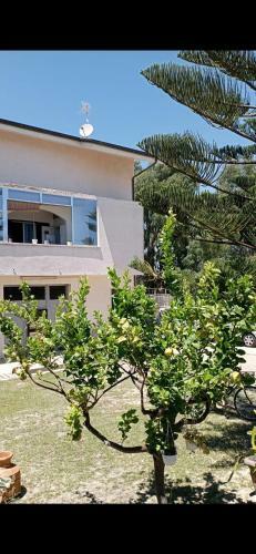 Apartamento Teresa Home