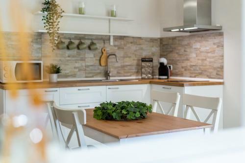 Apartamento Casa Titina