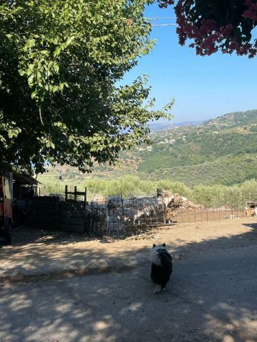 Villa Indipendente Con Giardino