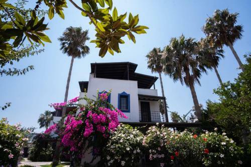 Astonishing Villa With Pool Near Tilkicik Bay