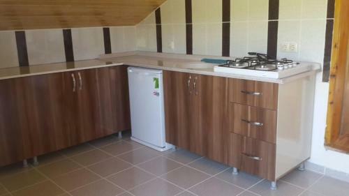 Lodge Karester Tepe Apart