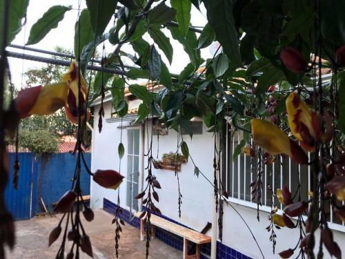 Hostal Pousada Dona Dinda