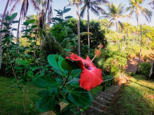 Paraiso Em Itacare Na Praia De Sao Jose E Prainha