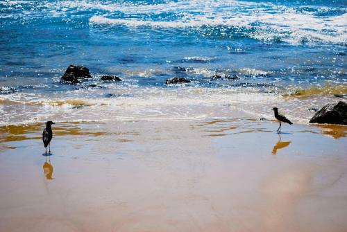 Paraiso Em Itacare Na Praia De Sao Jose E Prainha