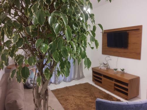 Apartamento Novo, Lindamente Decorado Com Estacionamento Inclu�do