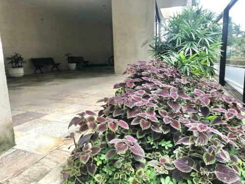 Apartamento Lindo Apto Com Varanda E Vista Para O Mar 2 Dorm