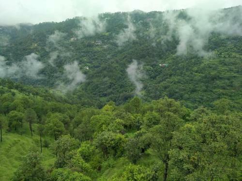 Aranya Villa 3bed Room Luxurious Villa In Kasauli