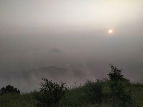 Aranya Villa 3bed Room Luxurious Villa In Kasauli