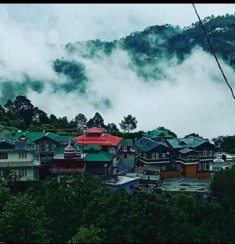 Aranya Villa 3bed Room Luxurious Villa In Kasauli