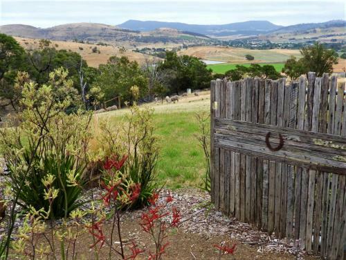 Aquila Glamping