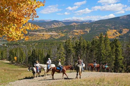 Apartamento Park Meadows Lodge Unit 3a