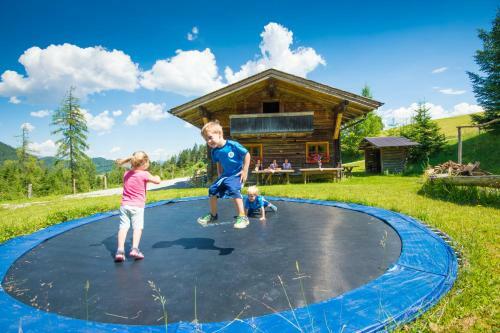 Steinwandalm