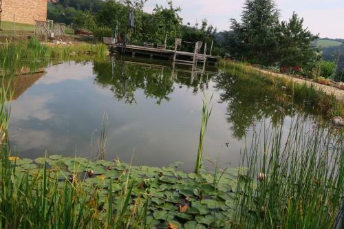 Ferienhaus Kellerst�ckl Dorrer