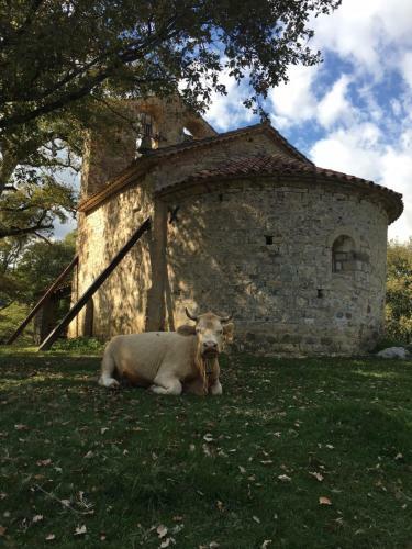 Agroturismo Mas Molladar