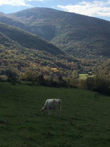Agroturismo Mas Molladar