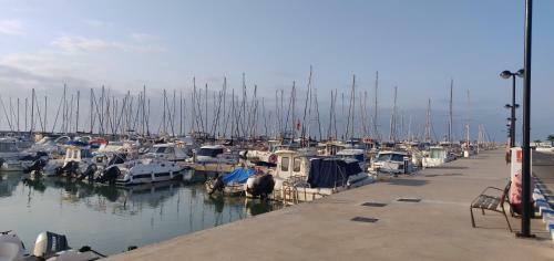 Apartamento En Canet Playa Con Parking