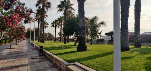 Apartamento En Canet Playa Con Parking