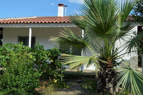 Litochoro Apartment In Estate