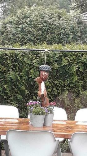 Vakantiehuisje Op De Veluwe