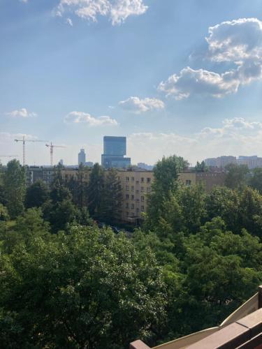 Katowice Apartament Modrzewiowa 24
