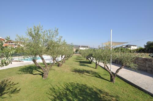 Olival Da Seara