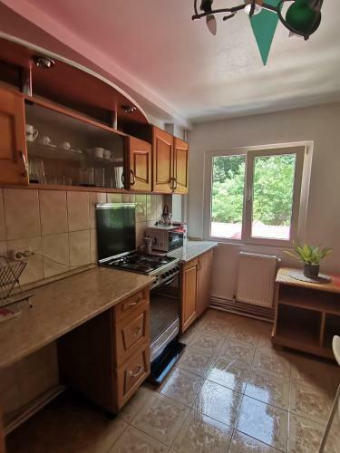 Apartamento Montana Sl?nic
