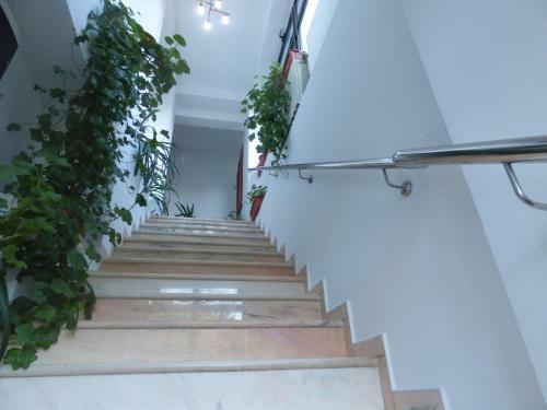 Hostal Gura Padurii