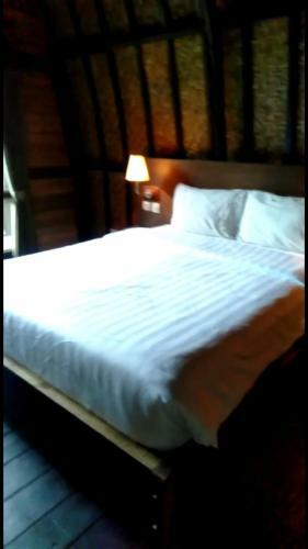 Lodge Jati Jungle Bungalows