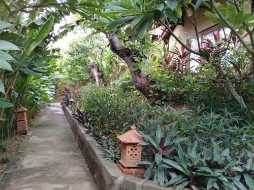 Villa Eliska Sari Sumberkima