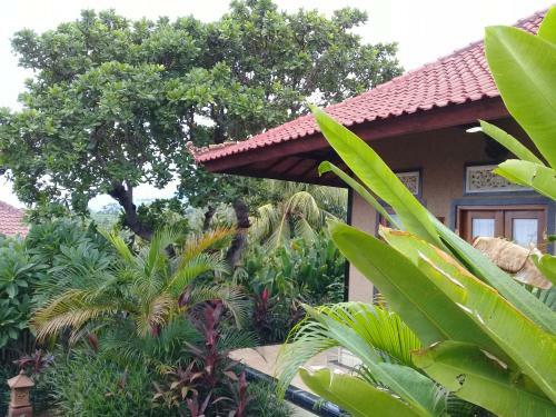 Villa Eliska Sari Sumberkima