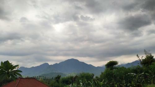 Villa Eliska Sari Sumberkima