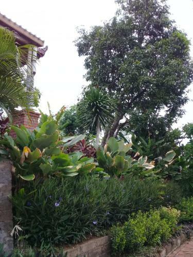 Villa Eliska Sari Sumberkima