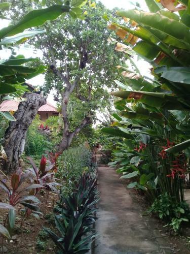 Villa Eliska Sari Sumberkima