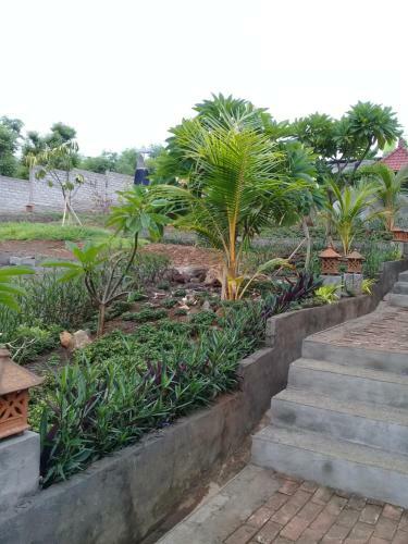 Villa Eliska Sari Sumberkima