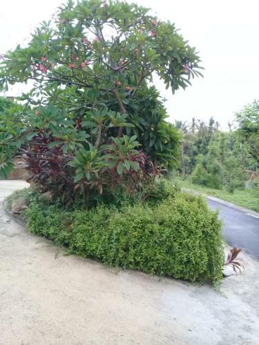 Villa Eliska Sari Sumberkima