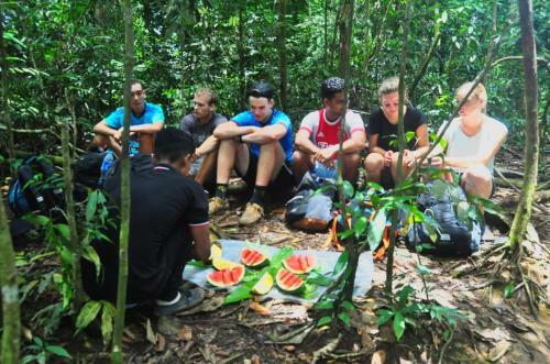 Bukit Lawang-guesthouse
