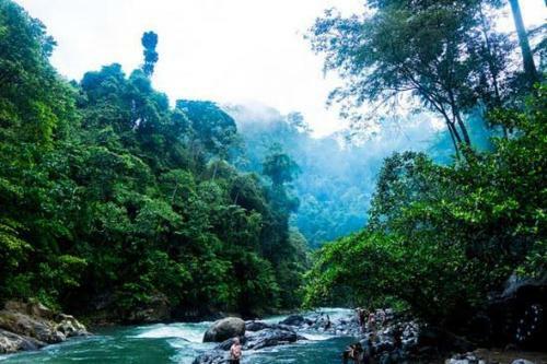 Sumatra Camp & Jungle Trekking