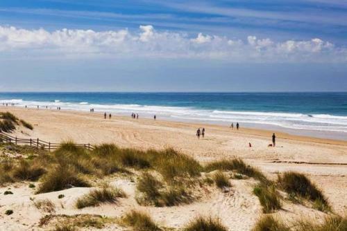 Coqueto Apartamento En La Barrosa De Un Dormitorio