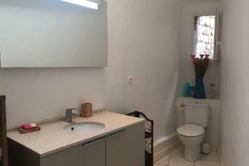 Very Large Apartment In The City Center