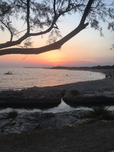 Punta Grossa Via 230