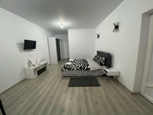 Apartamento Sergiu's Rooms