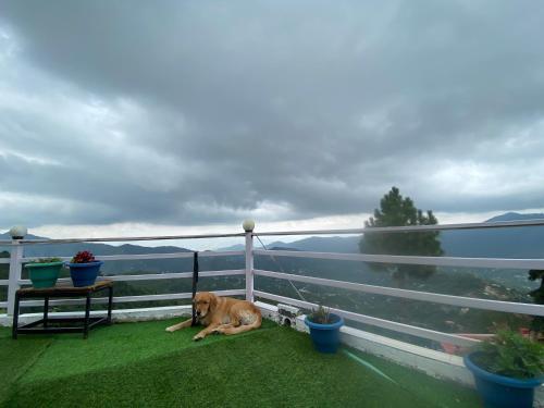 Hotel Wincliff Orchard Resort