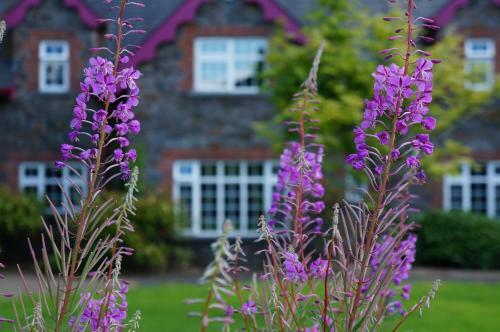 Bed & Breakfast Rossclare Lodge